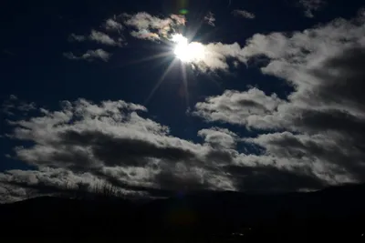 DSC_0858 (Large).JPG